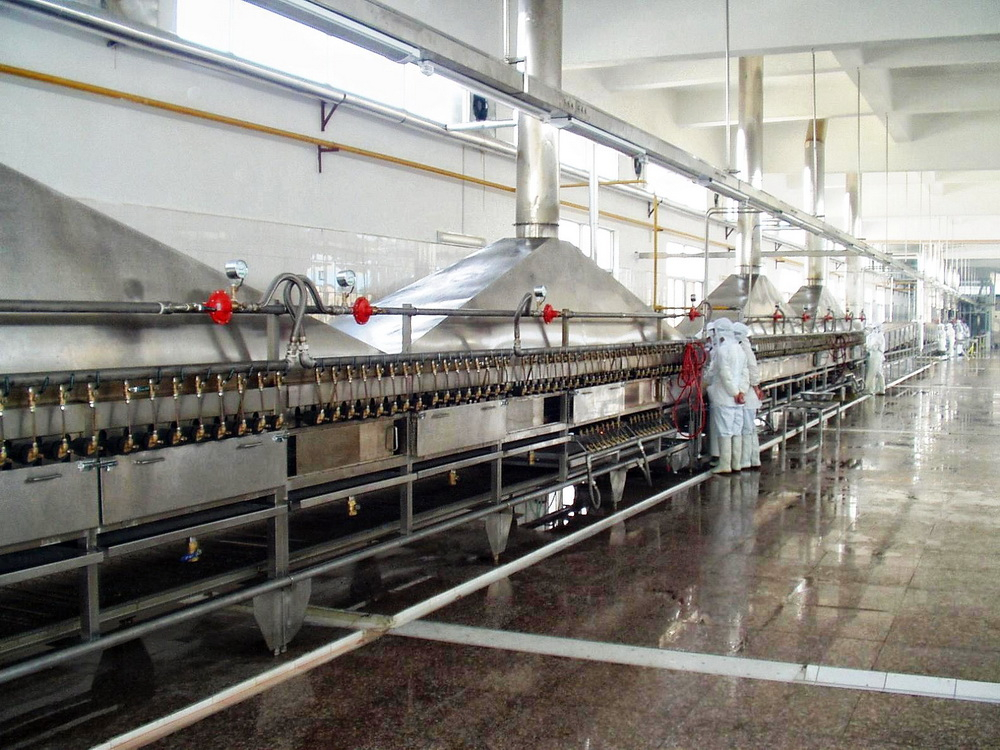 Processing line